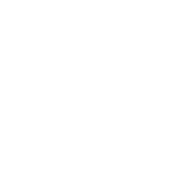 Gecurie Logo